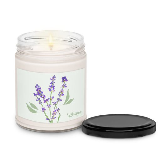 White sage and lavender soy jar candle with lid, hand-drawn art herbs by Briseis Gifts